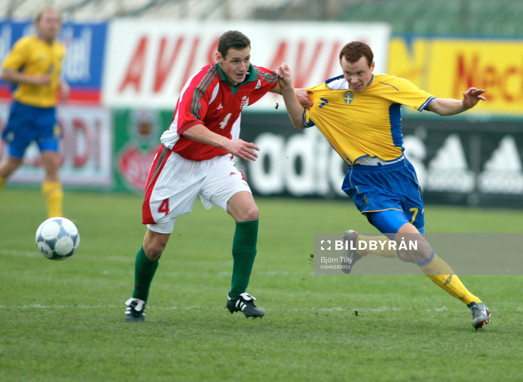 Alexander Farnerud, Sverige