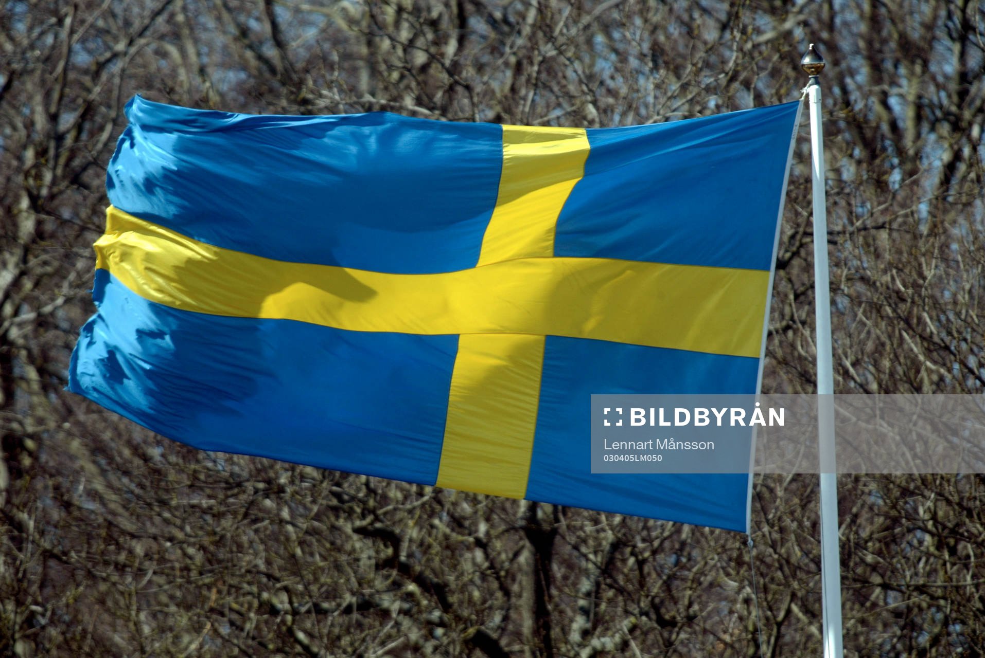 Flagga, Sverige, fana