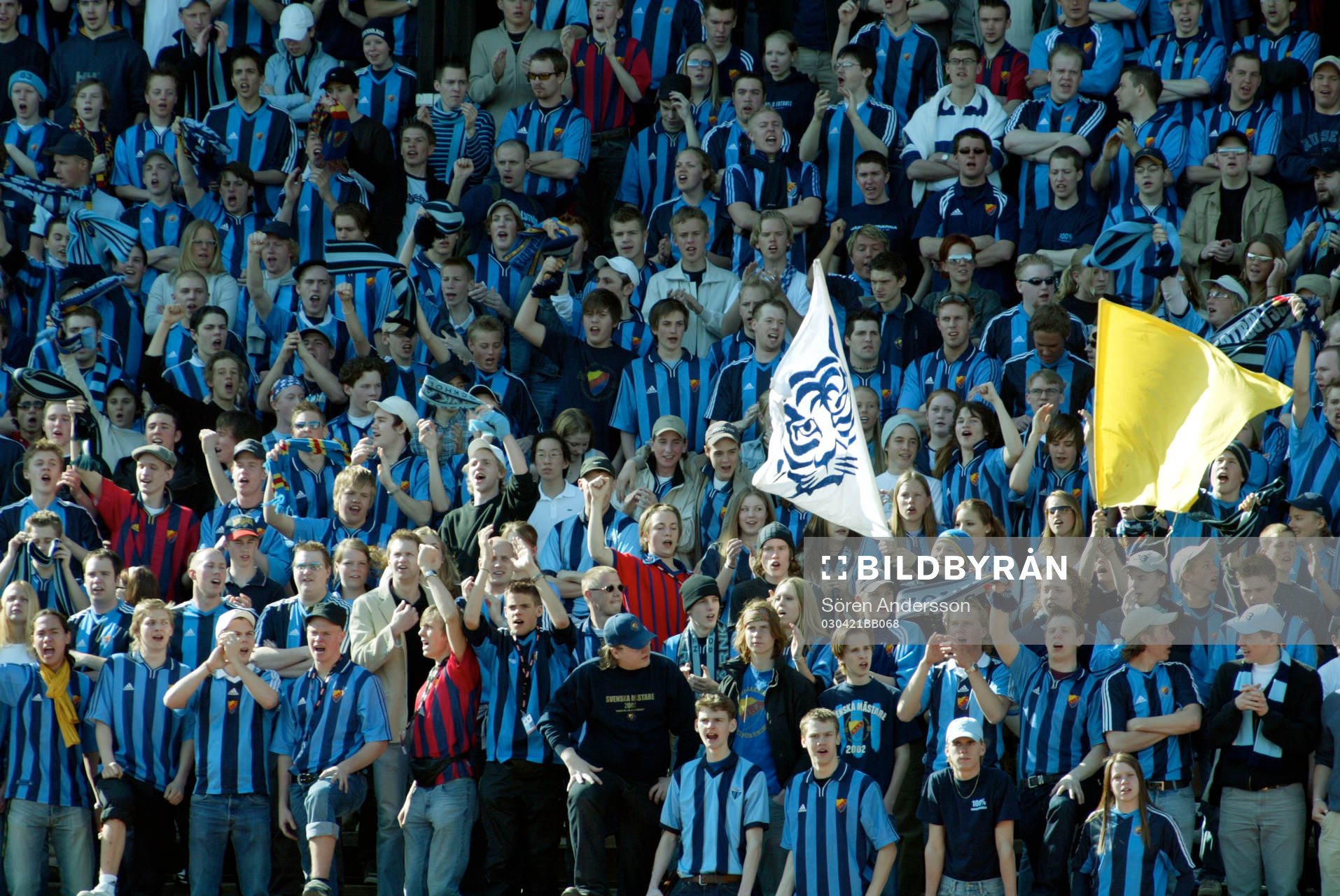 Supporter, Djurgården
