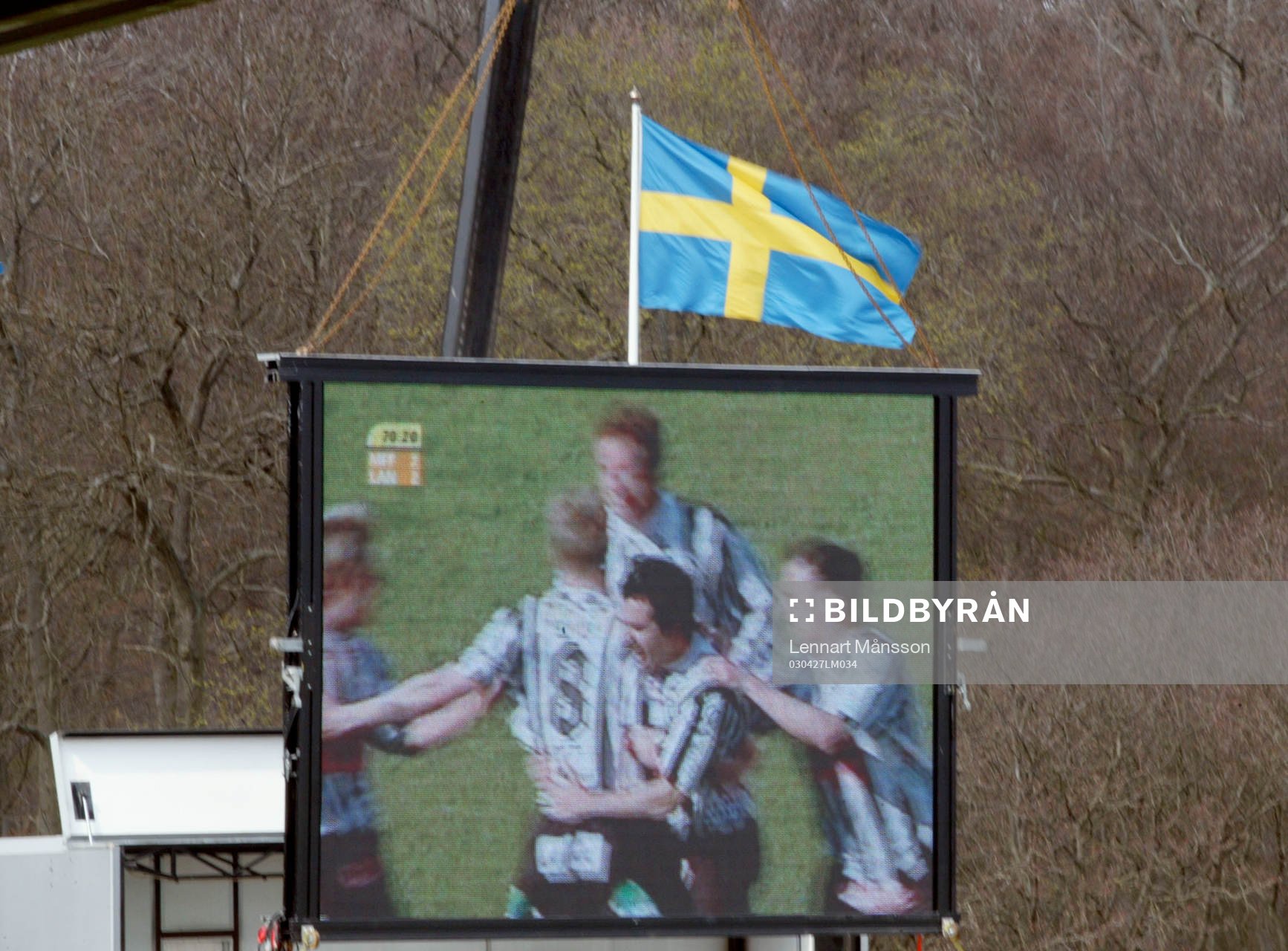 Jubel, tv, storbildstv, storbildsskärm, flagga