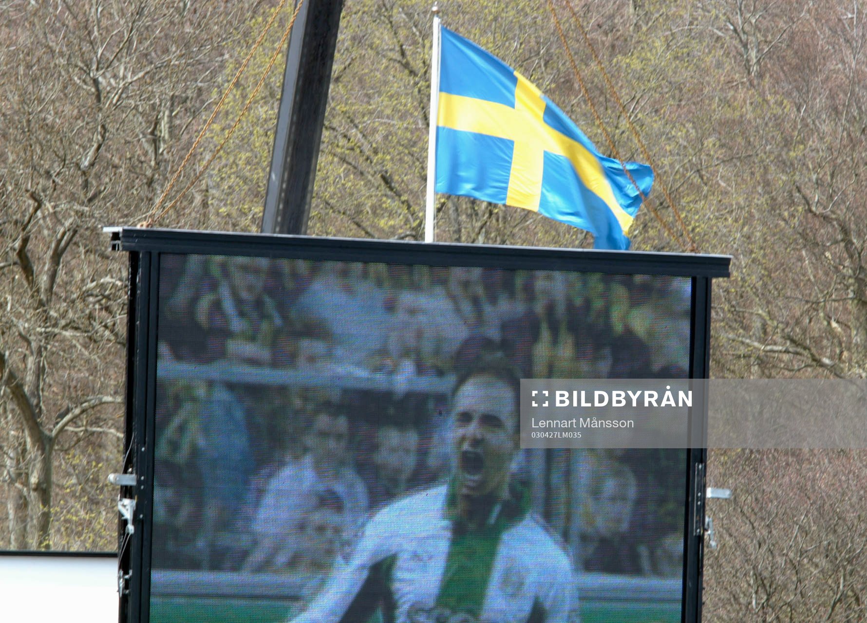 Jubel, tv, storbildstv, storbildsskärm