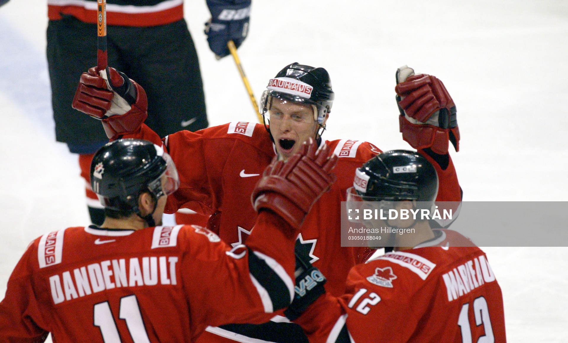 Jubel, Mathieu Dandenault, Patrick Marleau