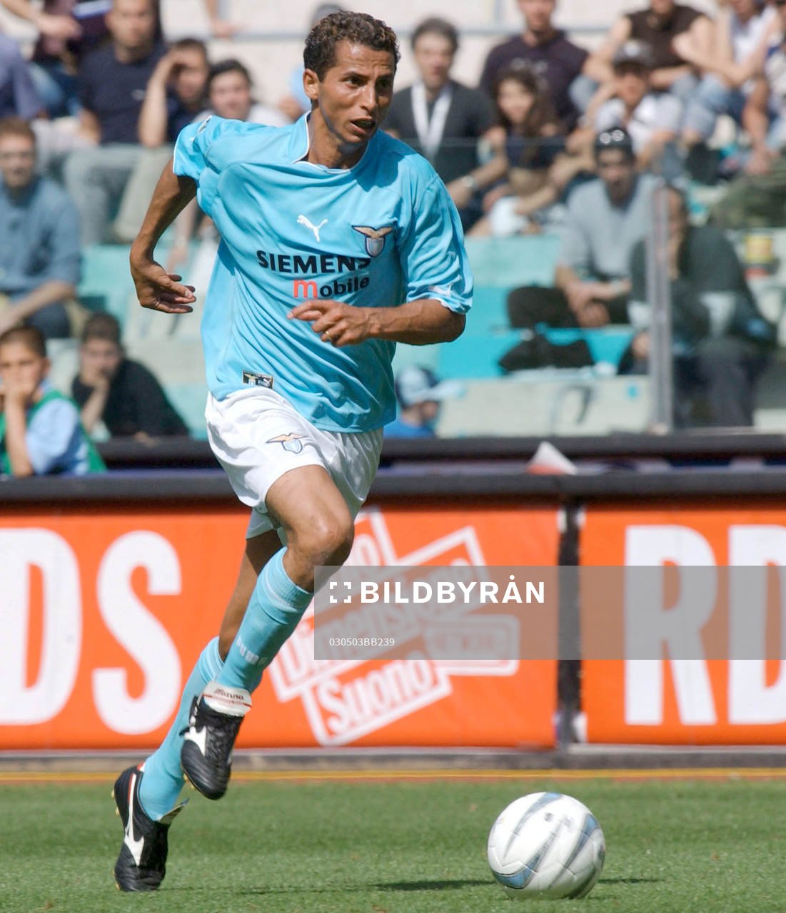 Cesar