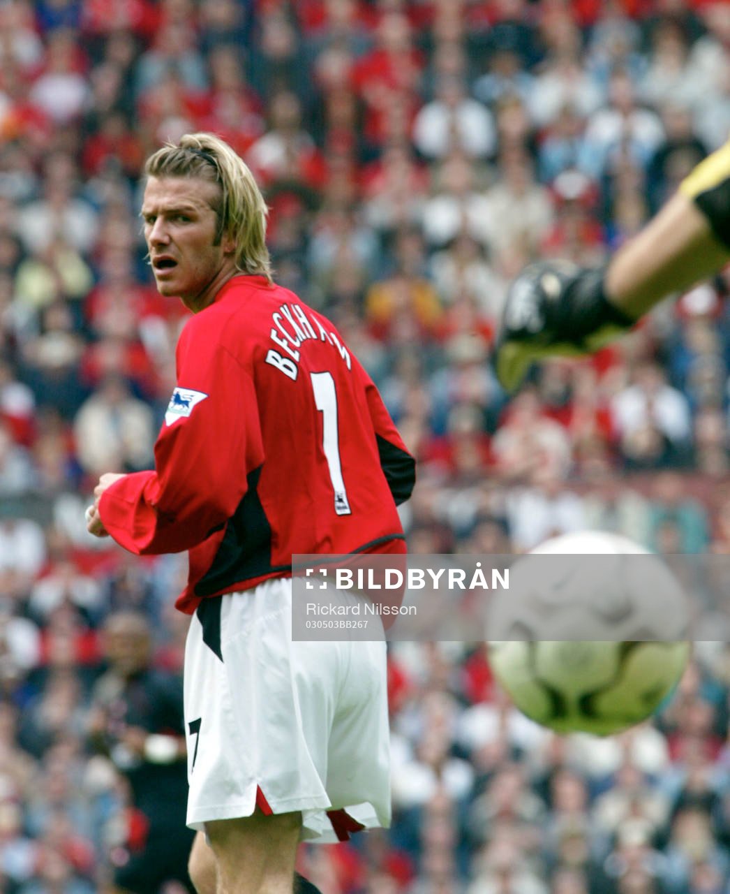 David Beckham