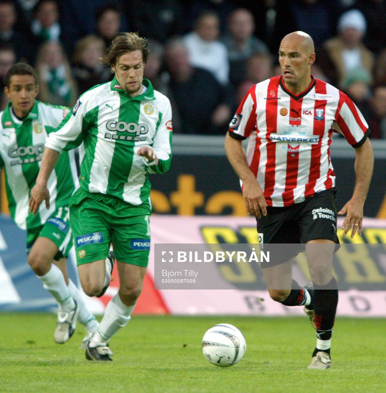Max von Schlebrügge, Hammarby och Daniel Majstorovic,