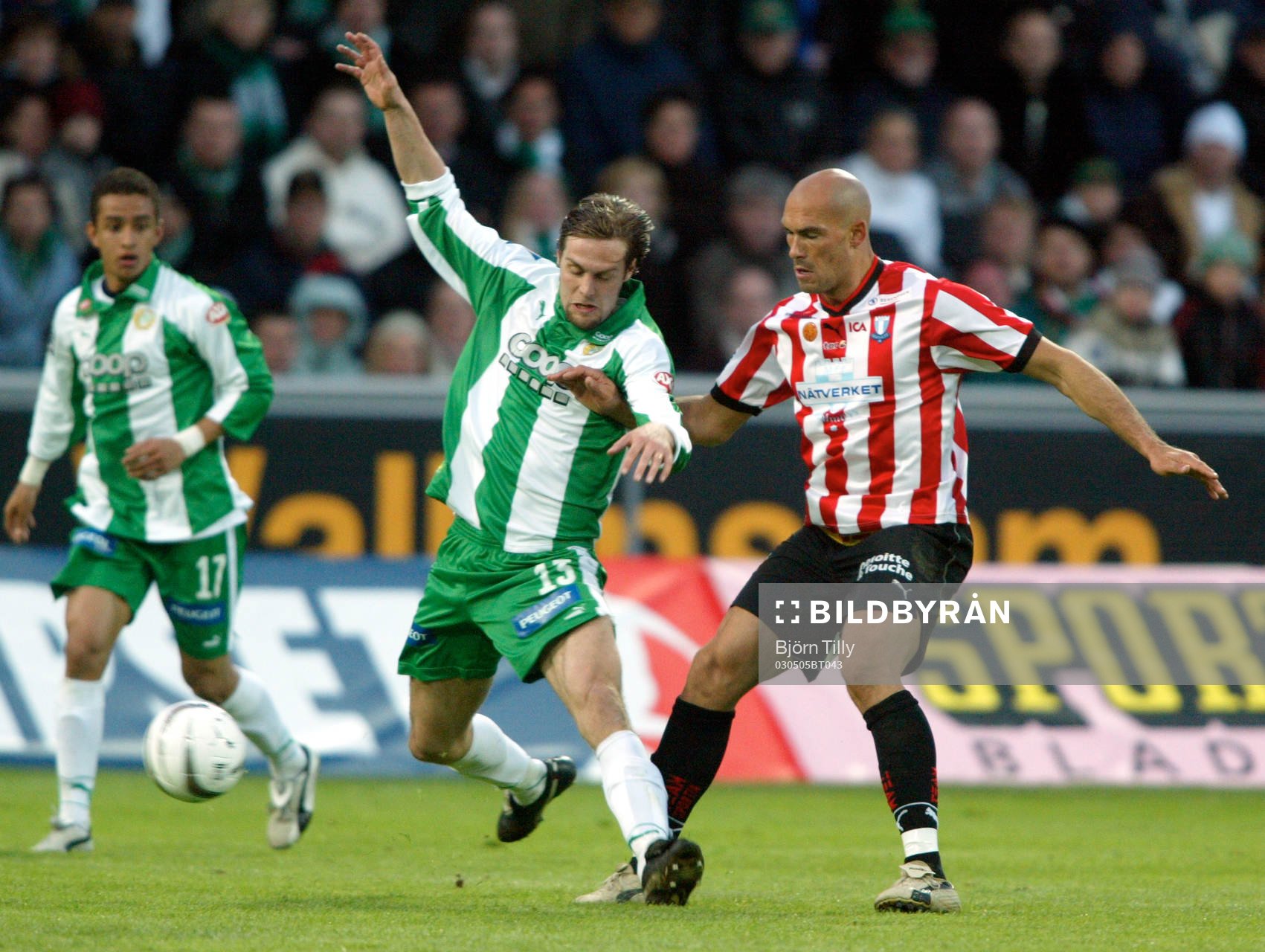 Max von Schlebrügge, Hammarby och Daniel Majstorovic,
