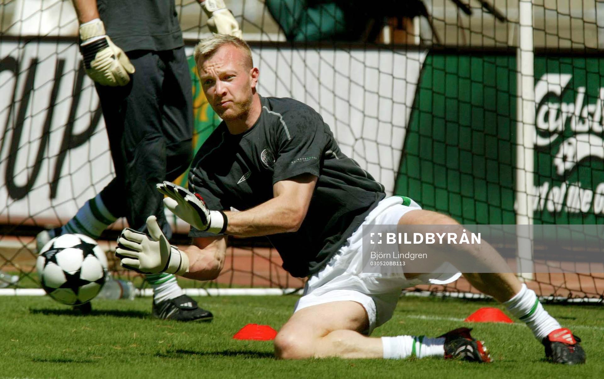 Magnus Hedman, Celtic