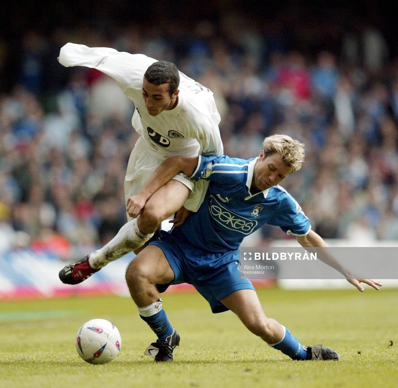   Stephan Kelly, Queens Park Rangers och Andy Leg, Cardiff