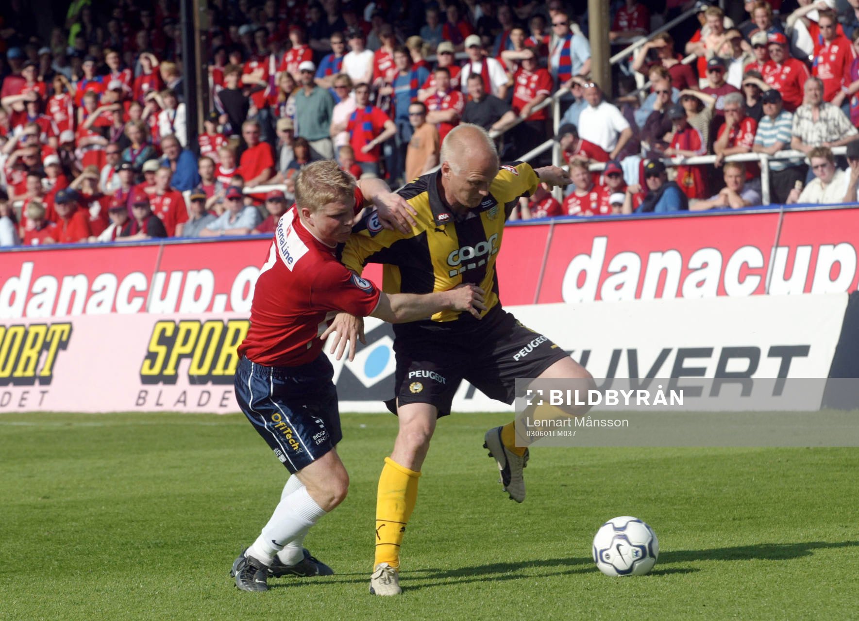 Christer Fursth, Hammarby