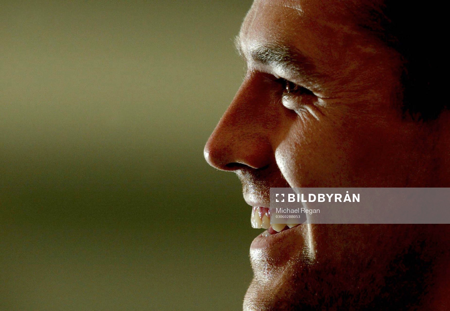 Michael Owen