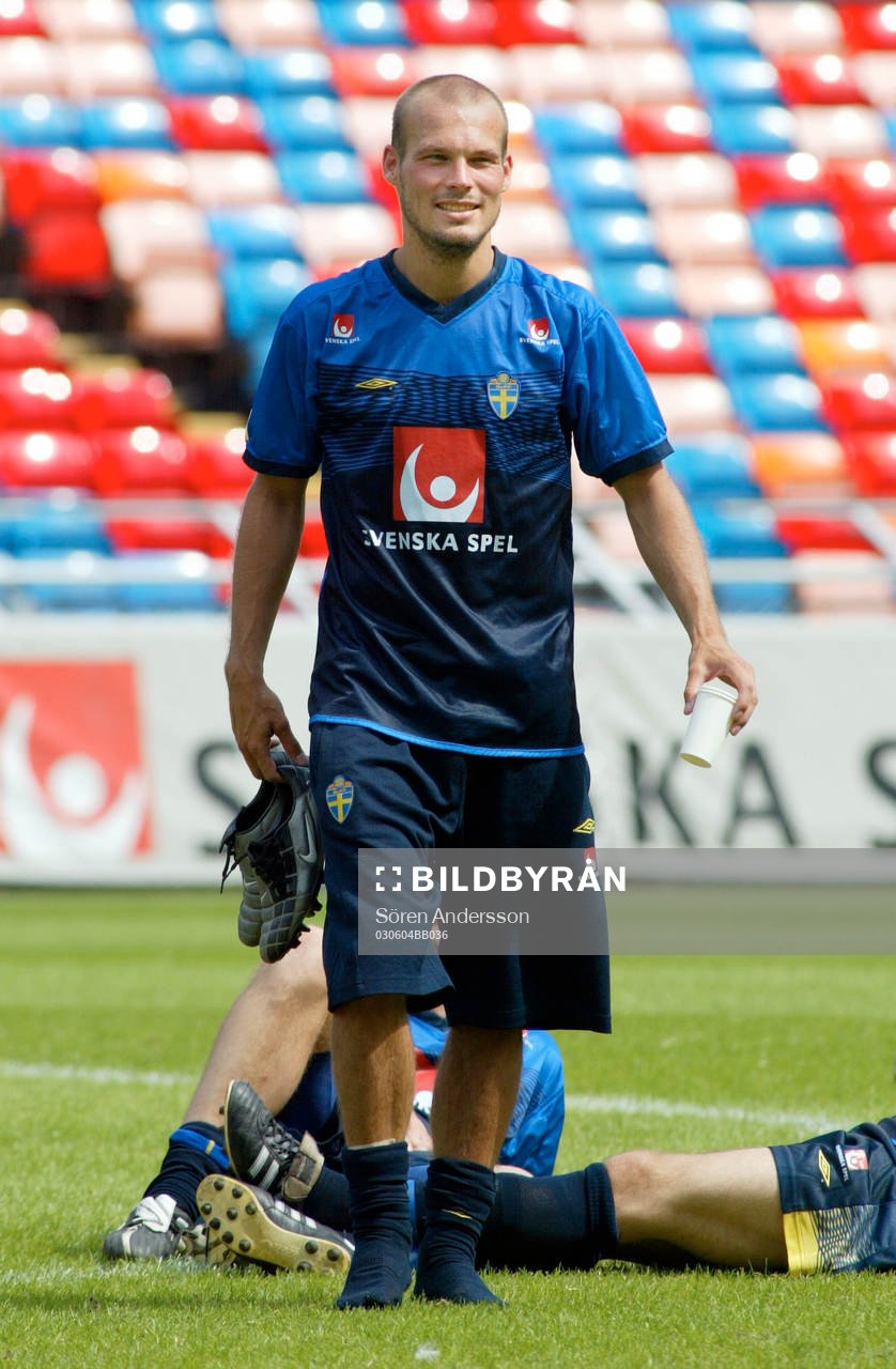 Fredrik Ljungberg, Sverige