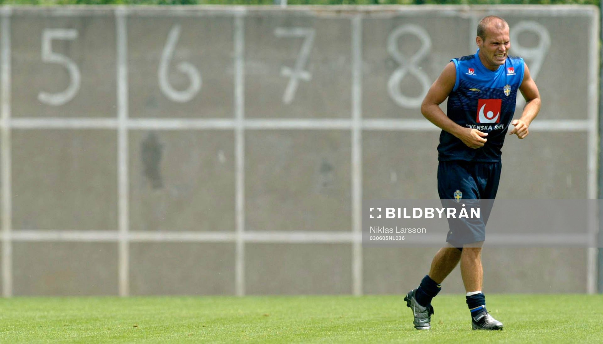 Fredrik Ljungberg, Sverige