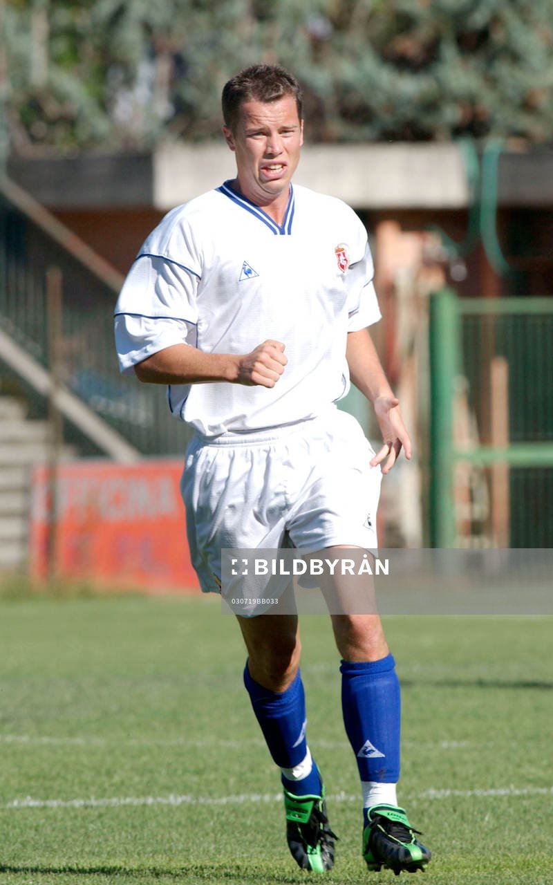 Daniel Andersson, Ancona