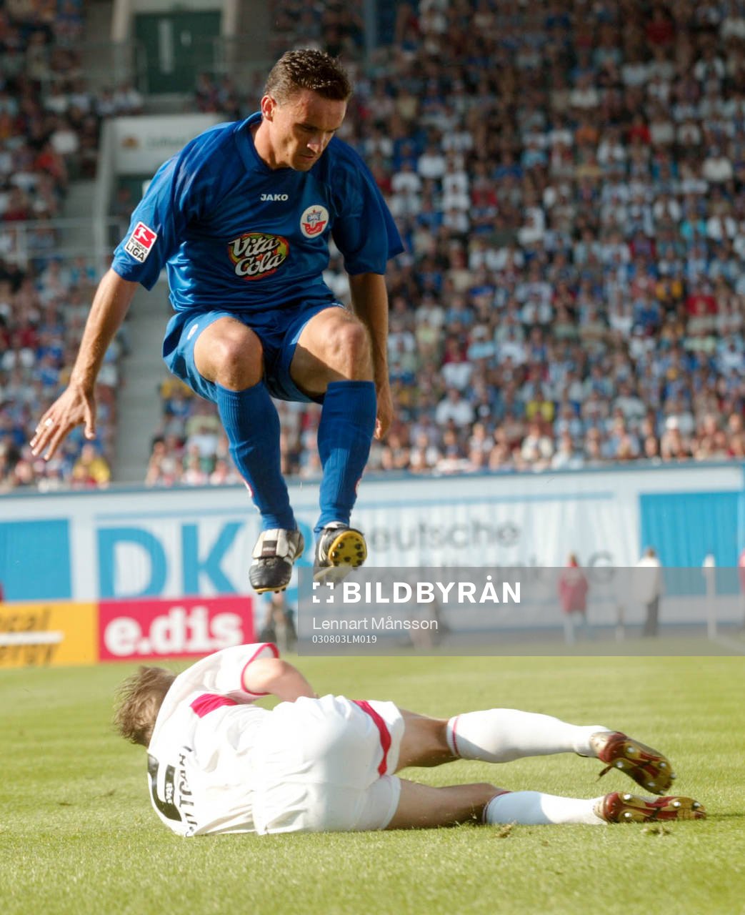 Hopp