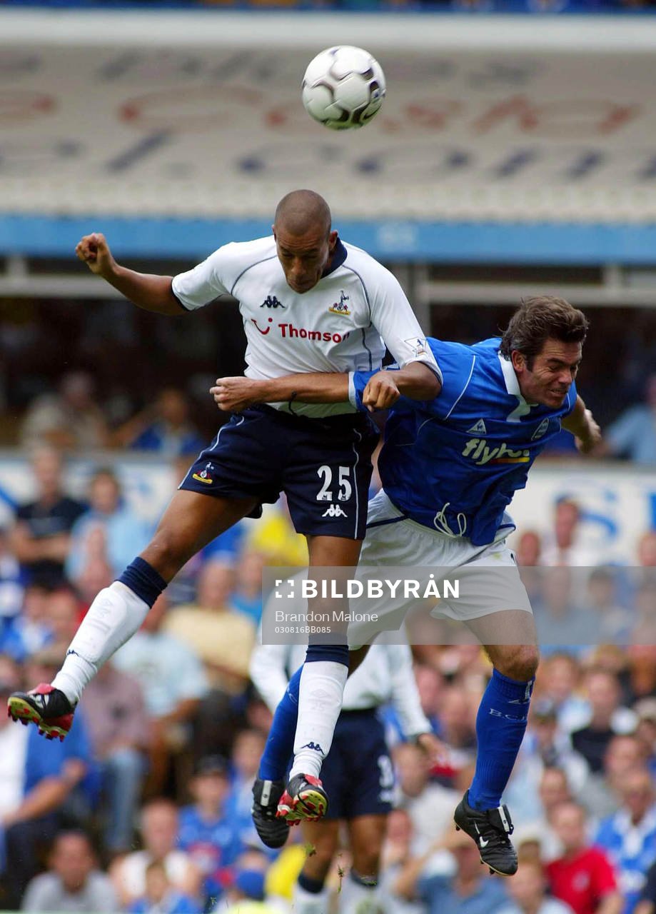 Fotboll, Engelsk, Premier League, Premiership, Birmingham