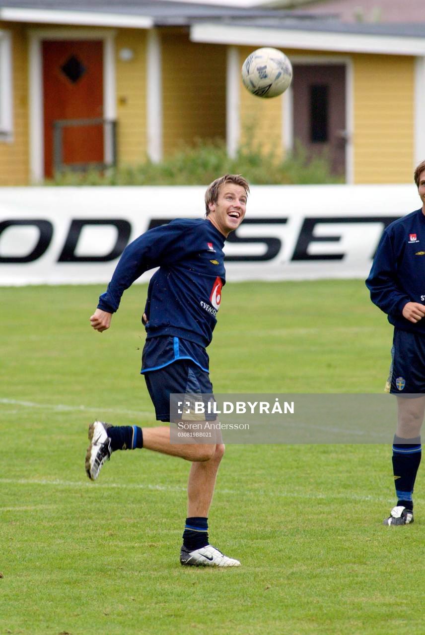 Pontus Farnerud, Sverige