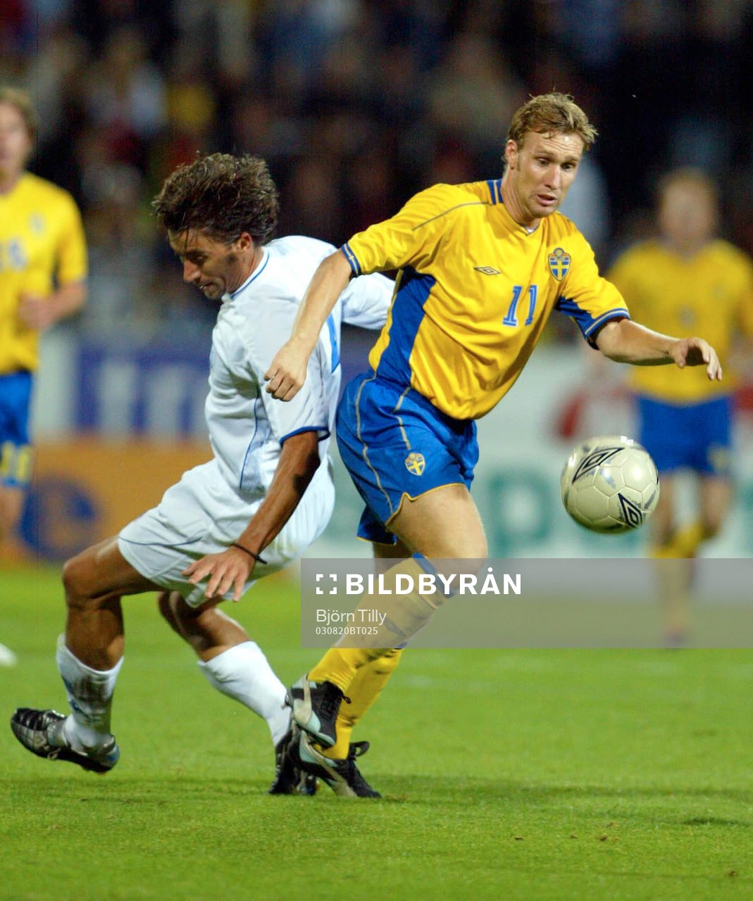 Niklas Skoog, Sverige