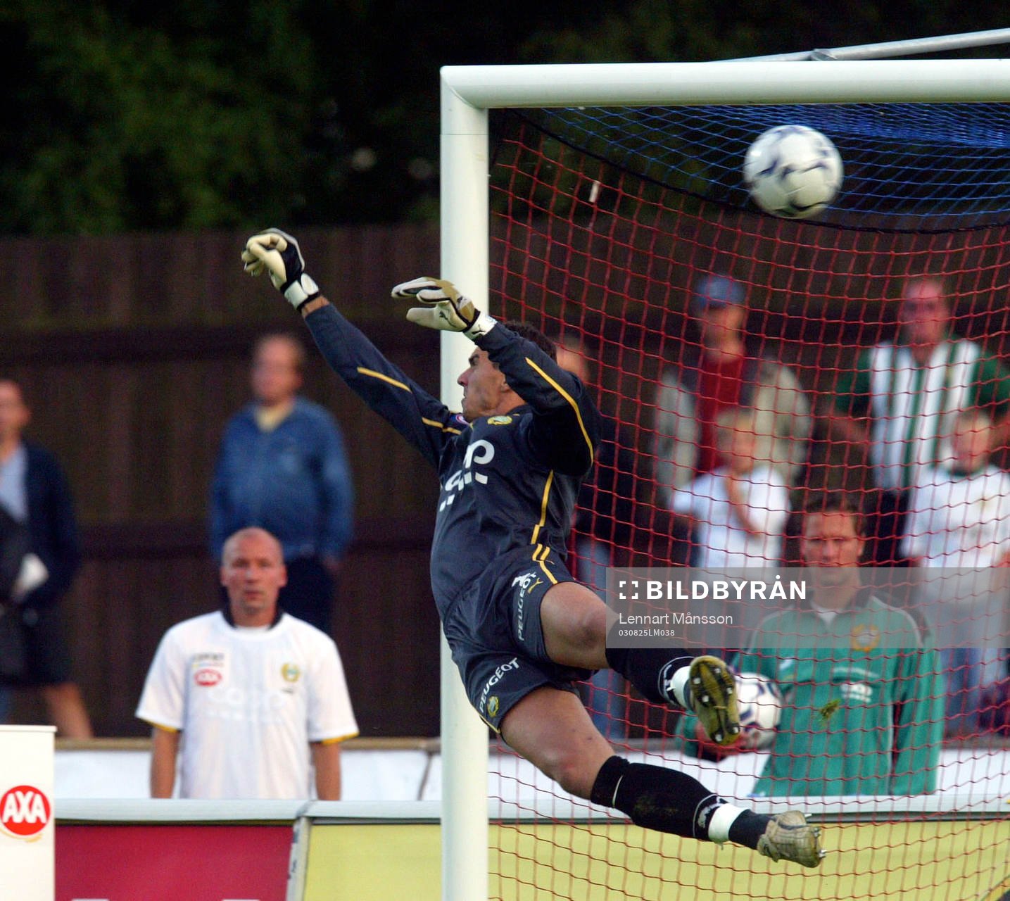 Ante Covic, målvakt,  Hammarby