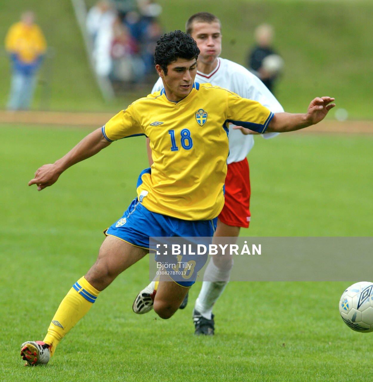 Peyman Zarifnejad, Sverige
