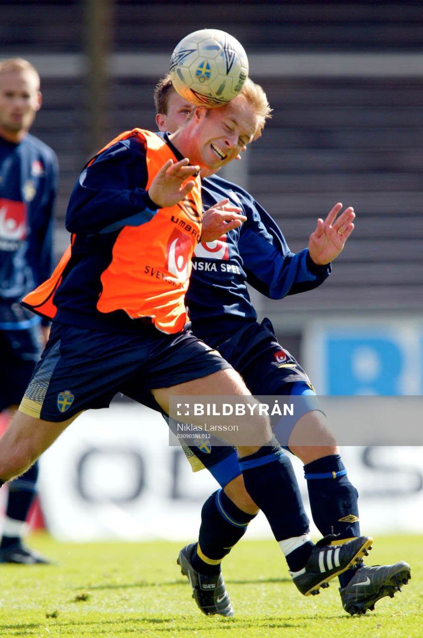 Anders Andersson, Sverige