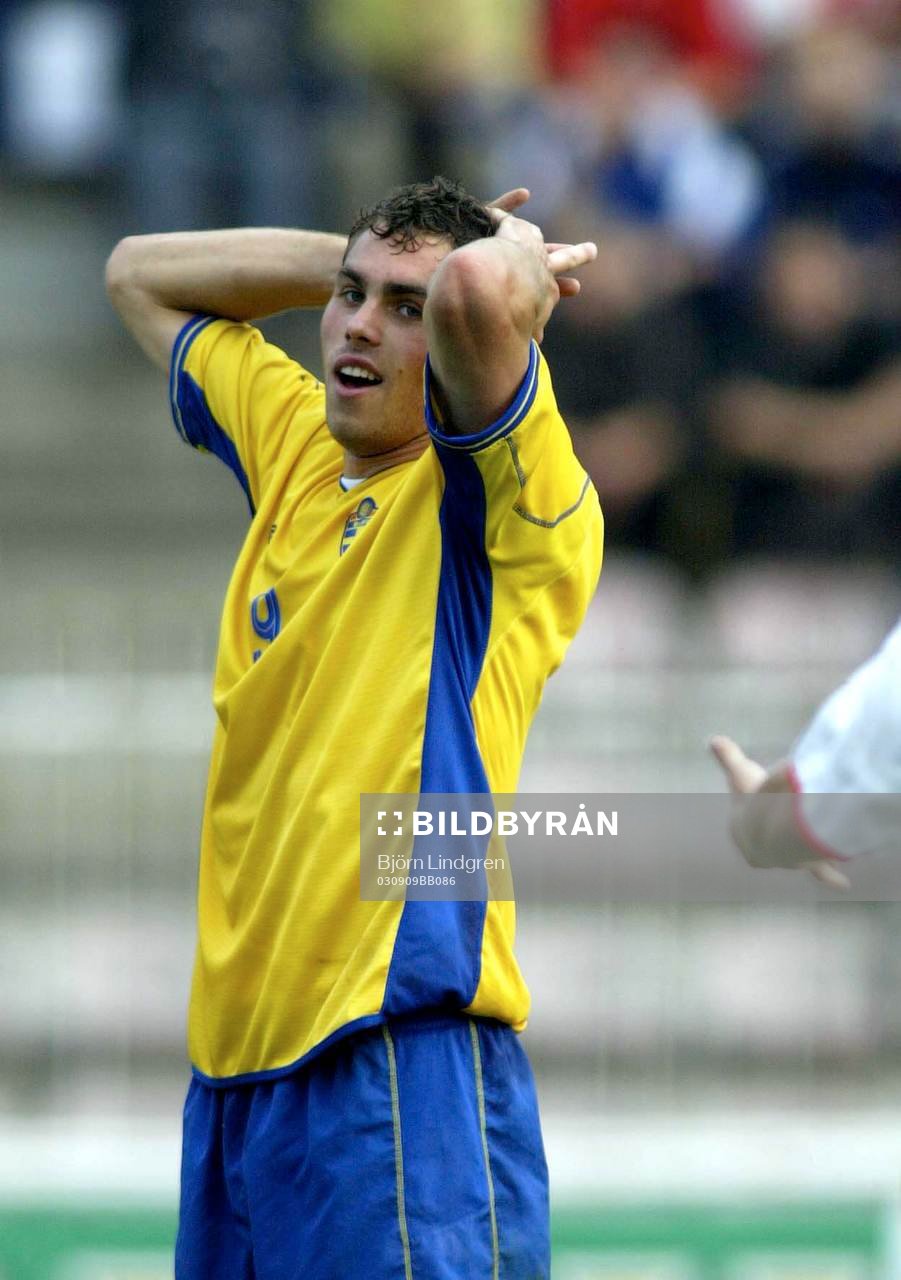 Johan Elmander, Sverige