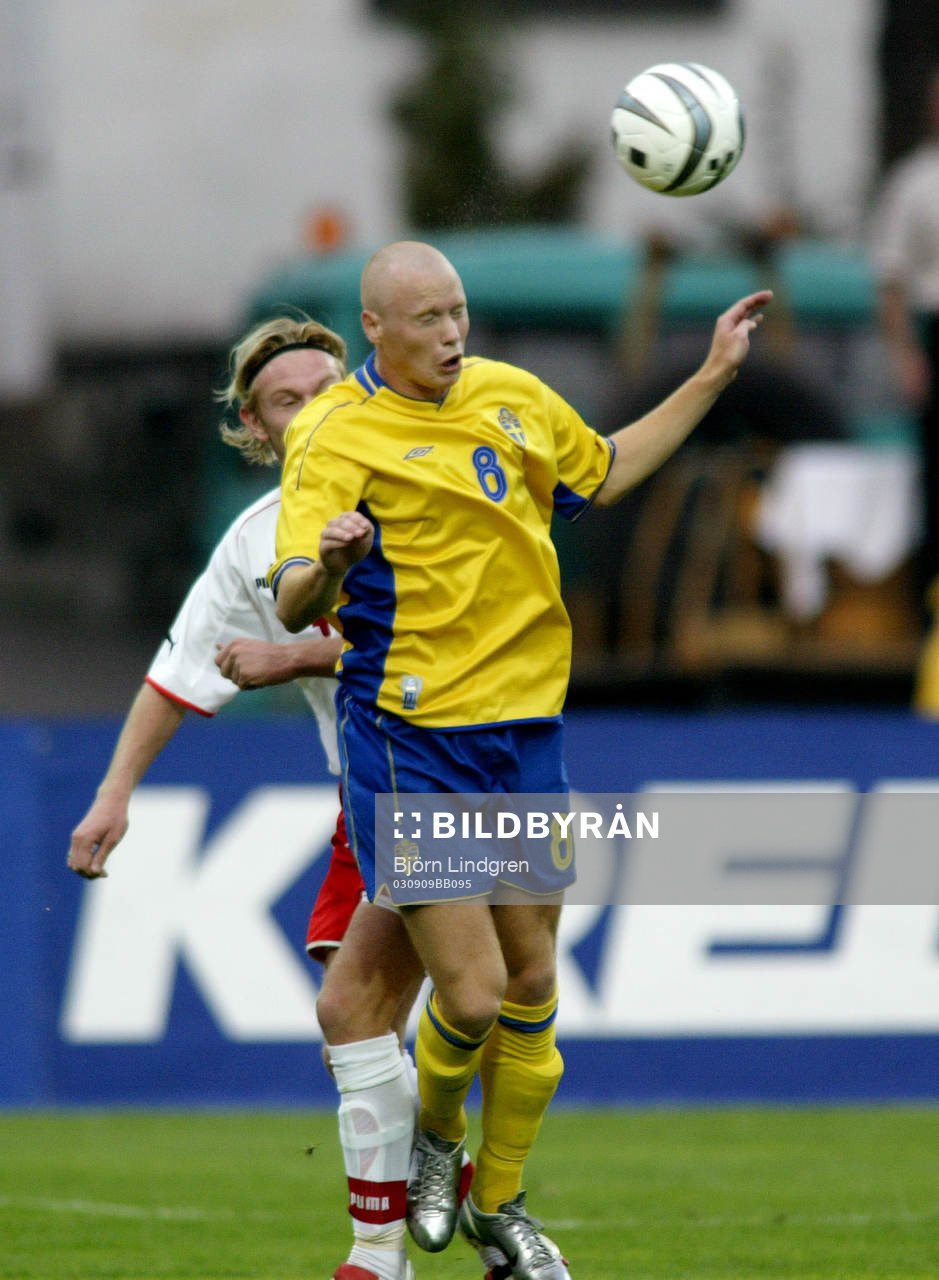 Alexander Farnerud, Sverige