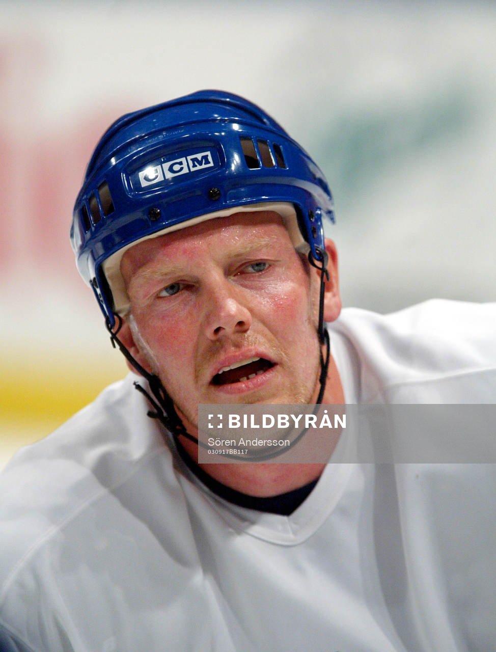 Mats Sundin, Toronto
