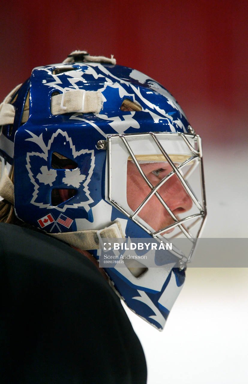 Mikael Tellqvist, målvakt, Toronto