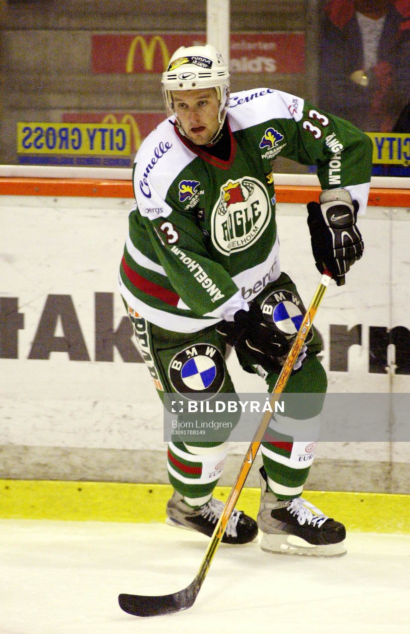 Ishockey, Allsvenskan, Magnus Hermansson, Rögle