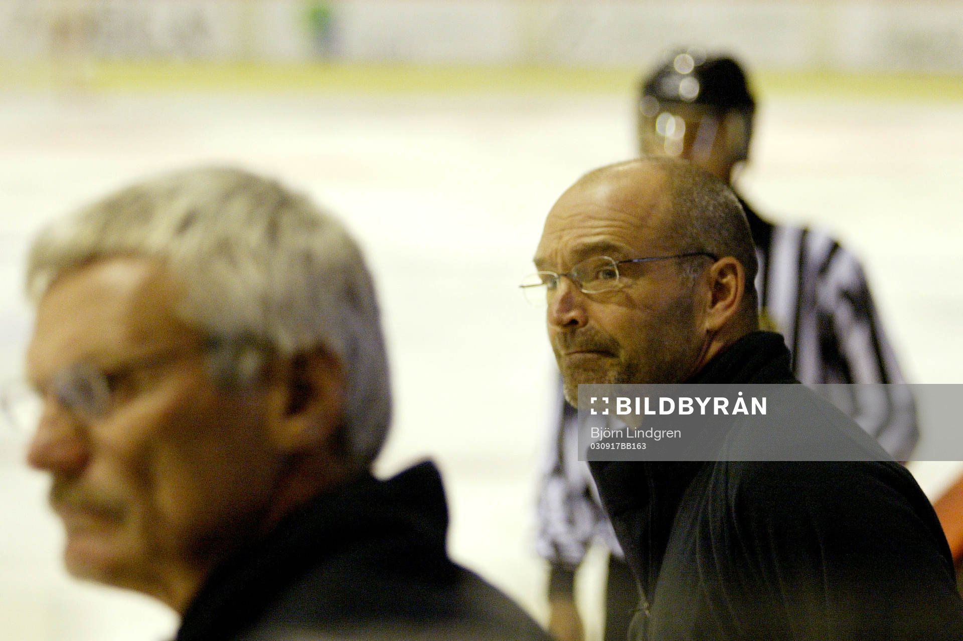 Ishockey, Allsvenskan, Mats Waltin, tränare, Rögle