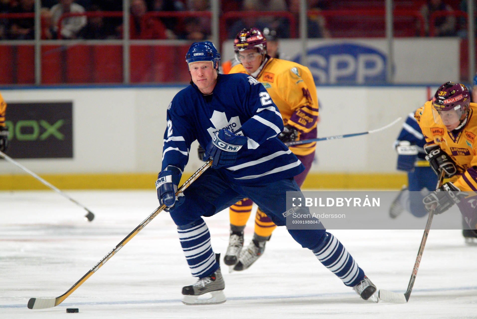 Wade Belak, Toronto