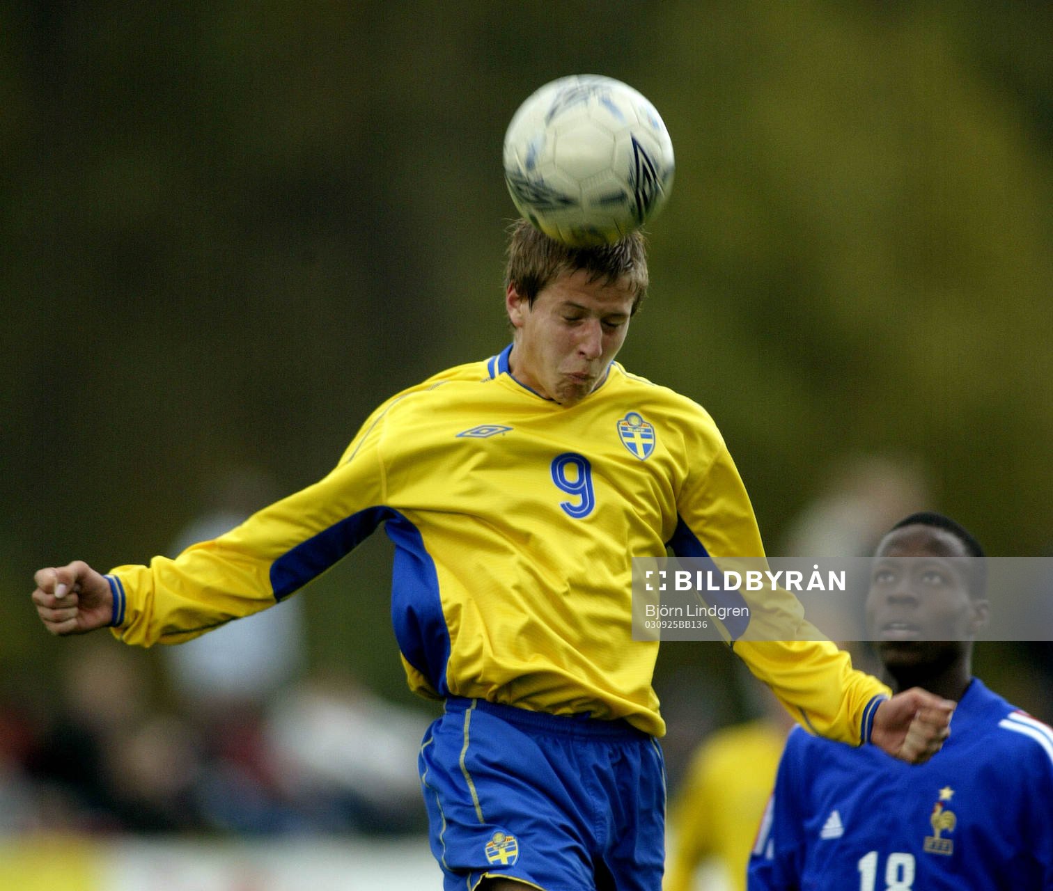 Andreas Johansson, Sverige