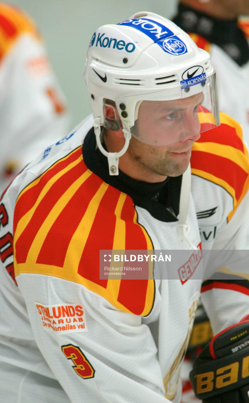 Daniel Johansson, Brynäs