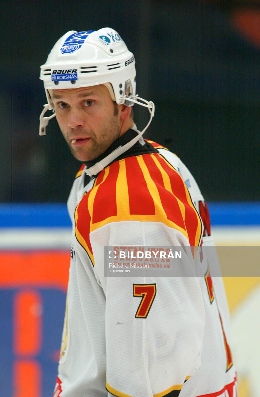 Tommy Sjödin, Brynäs