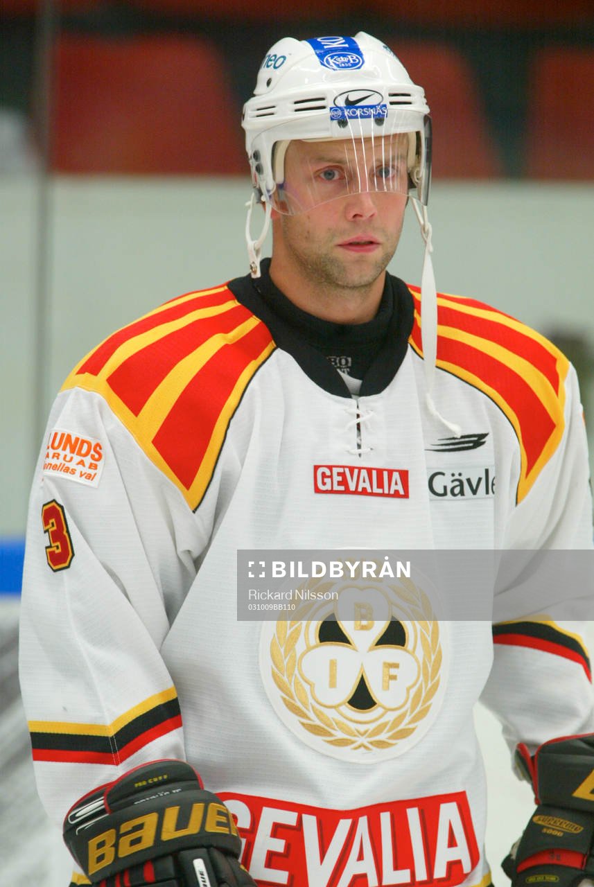 Daniel Johansson, Brynäs