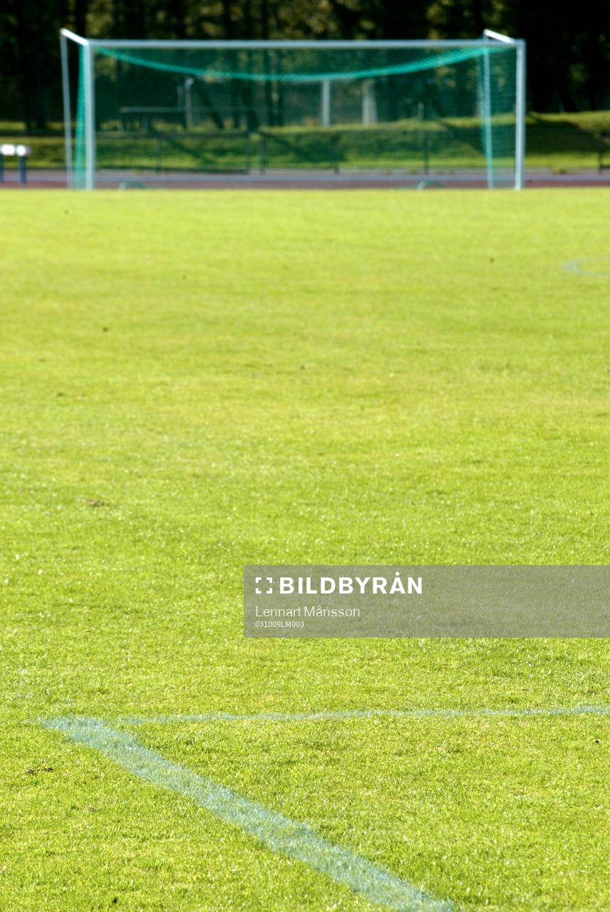Fotboll, fotbollsplan, gräs, gräsplan, linjer, mål,