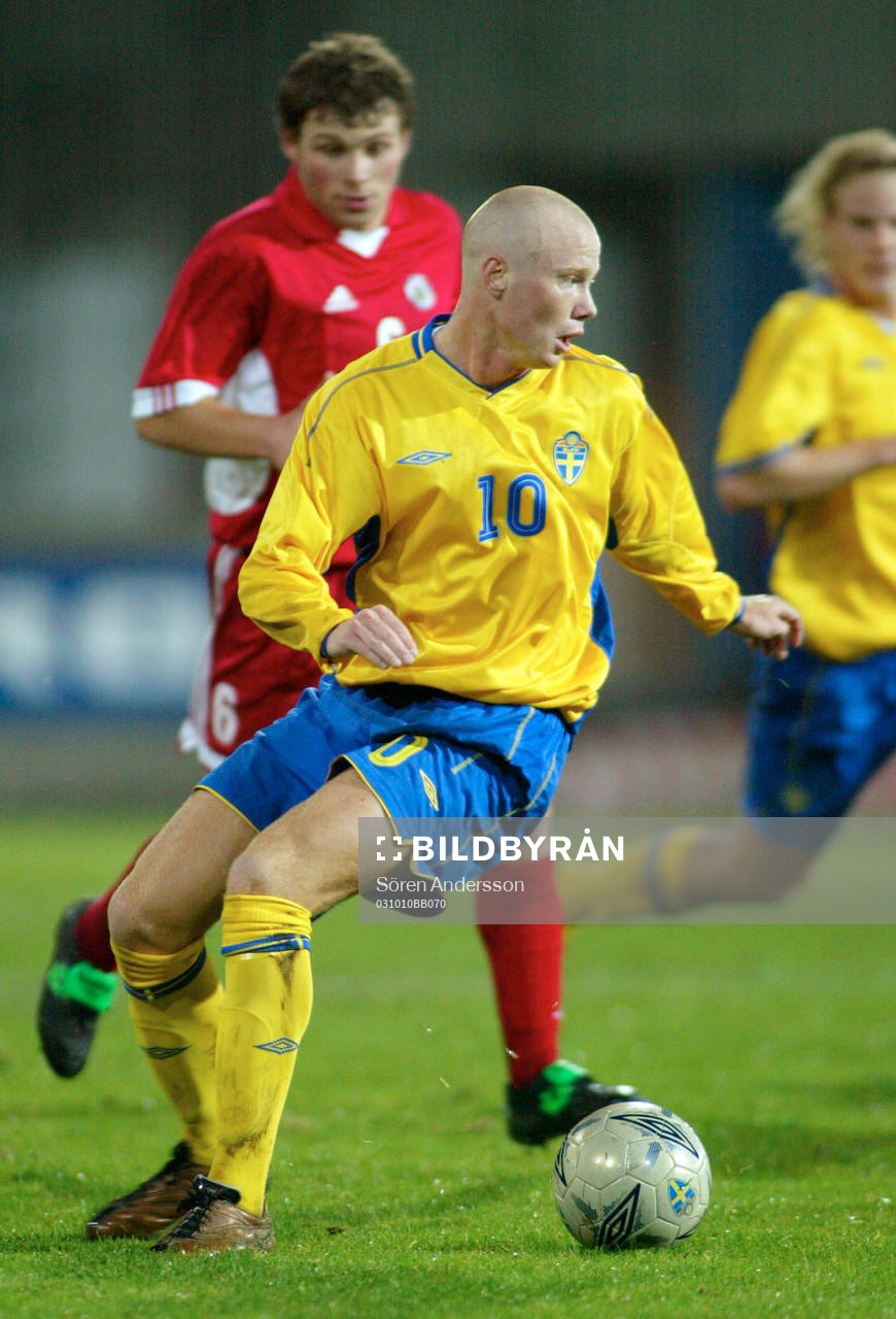 Alexander Farnerud, Sverige