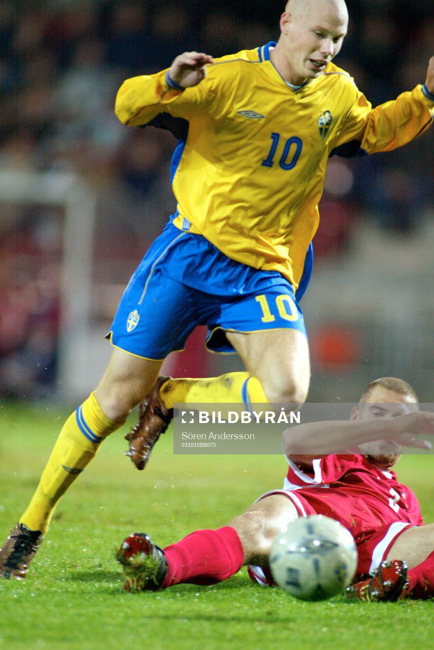 Alexander Farnerud, Sverige