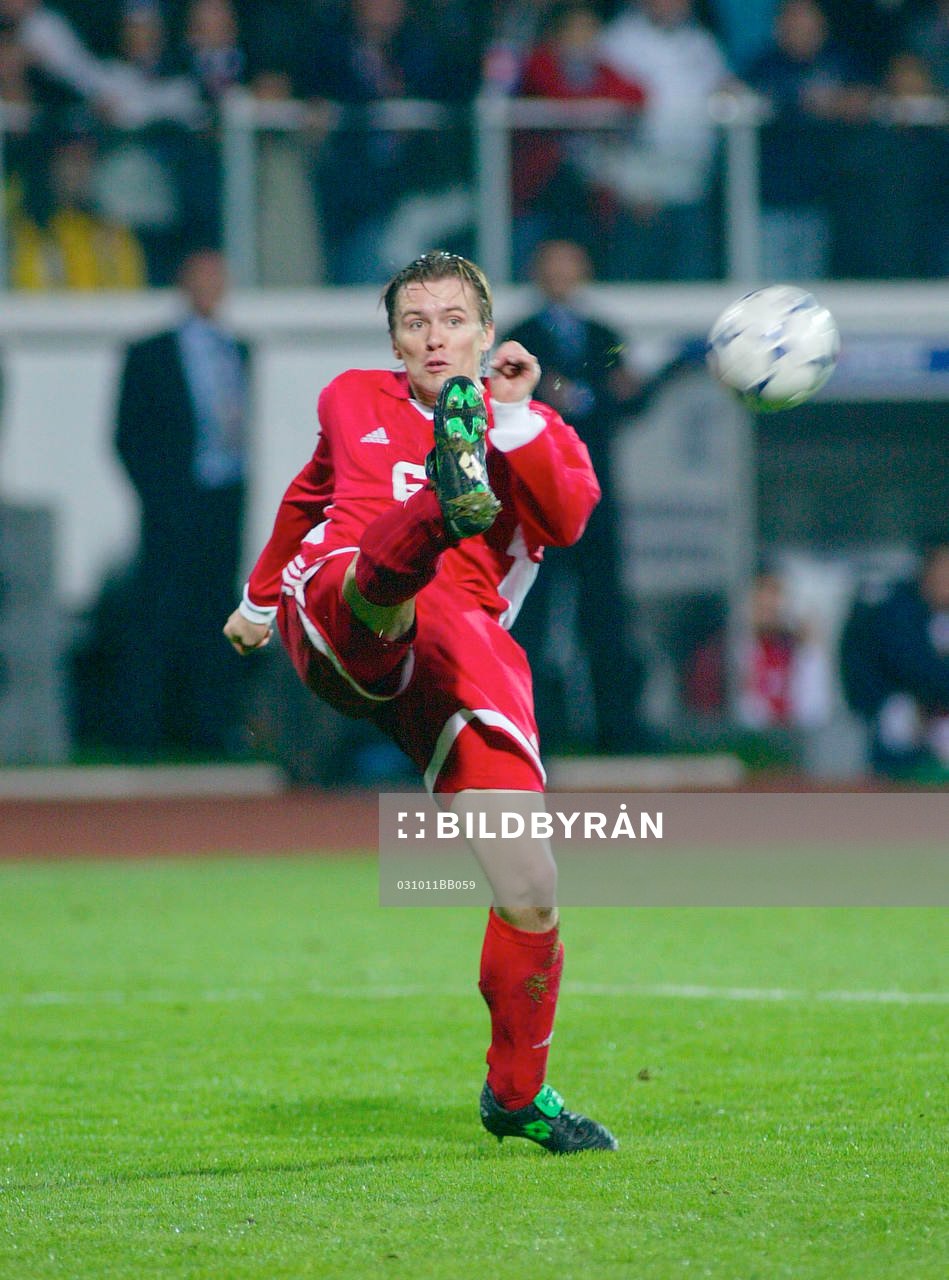 Dzintars Zirnis, Lettland