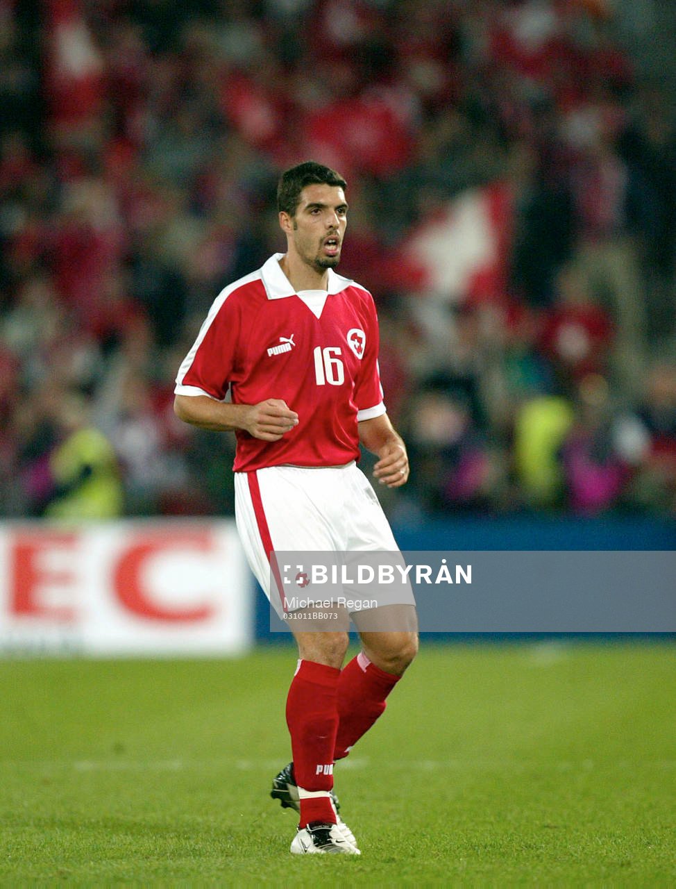 Fabio Celestini, Schweiz