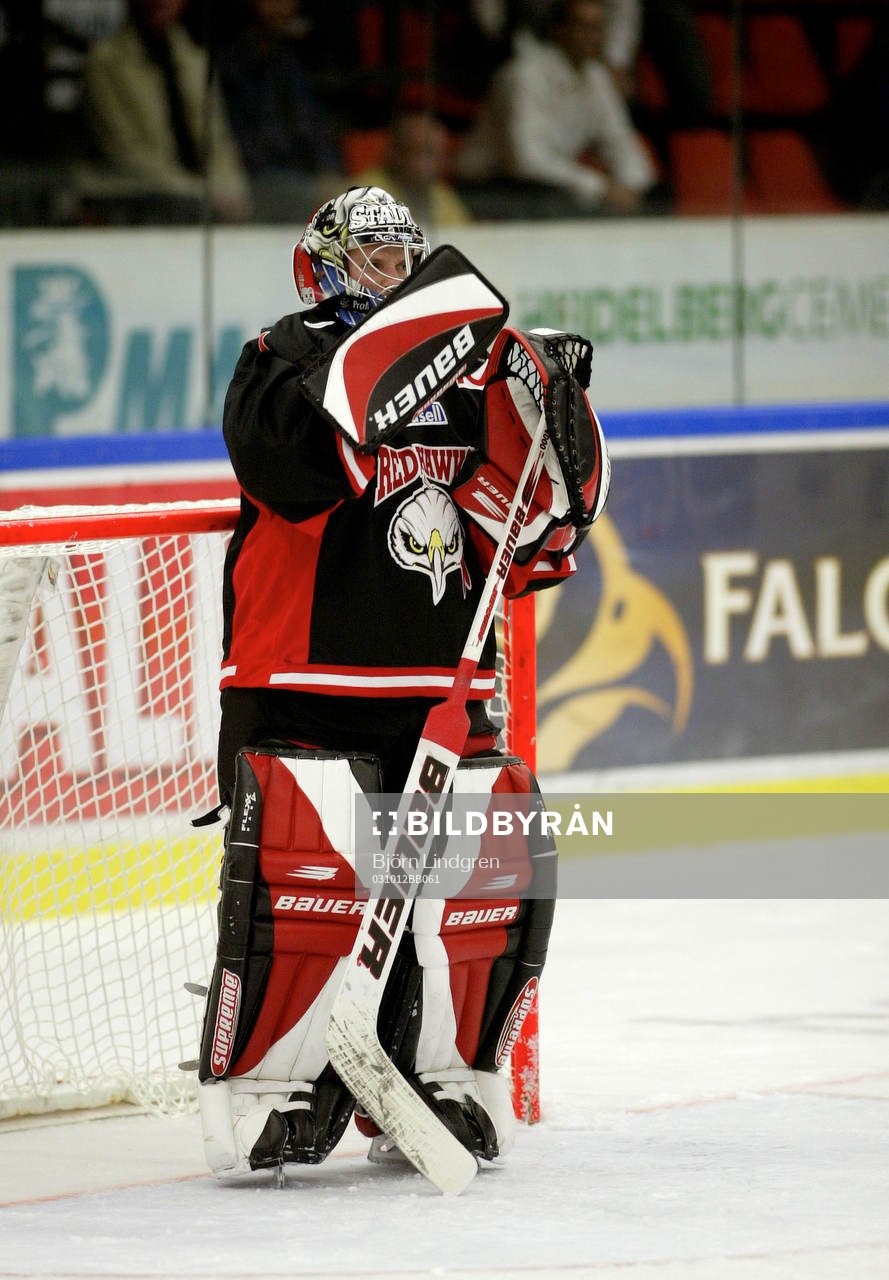 Ishockey, Elitserien, Andreas Hadelöv, Målvakt, Malmö