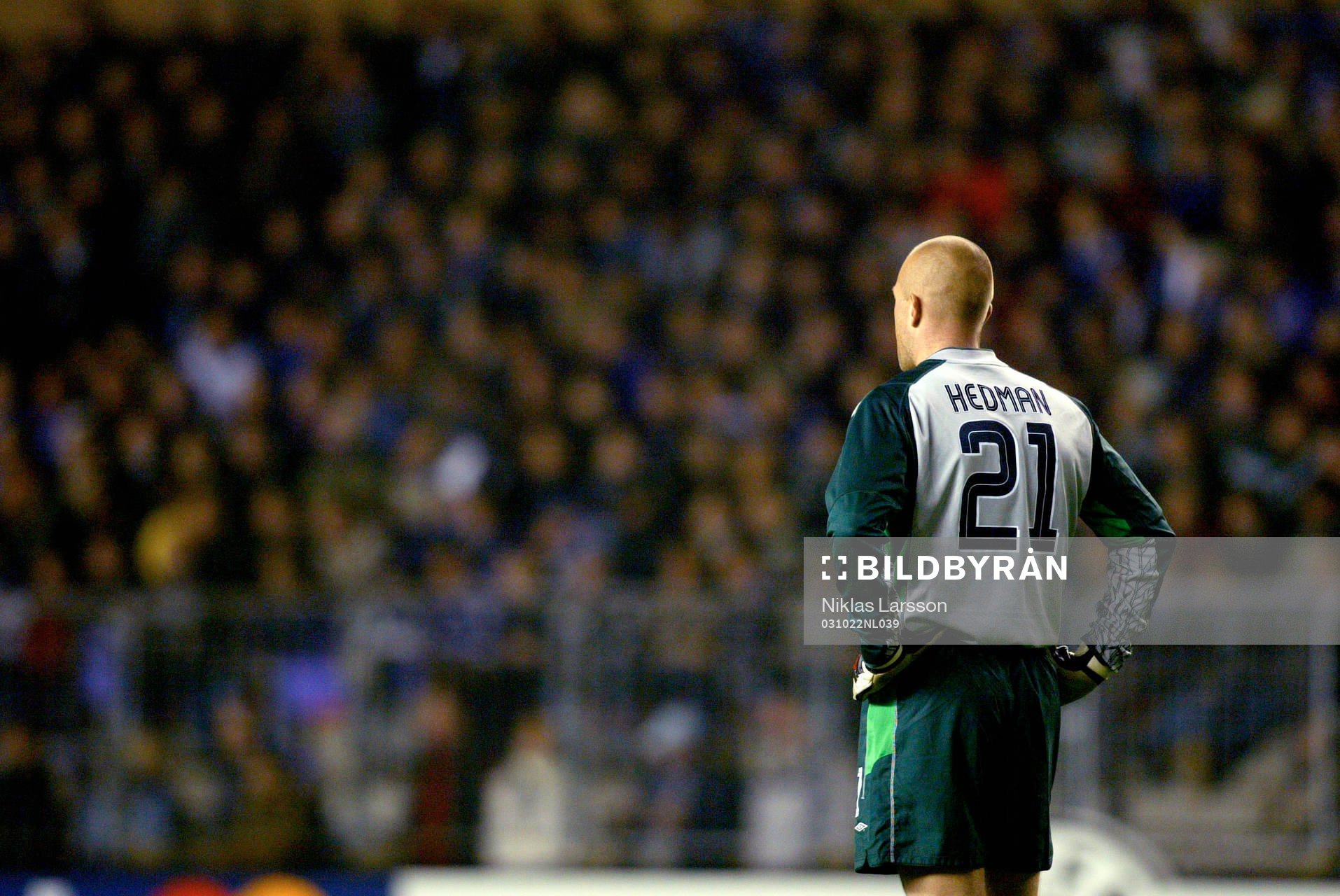Magnus Hedman, målvakt, Celtic