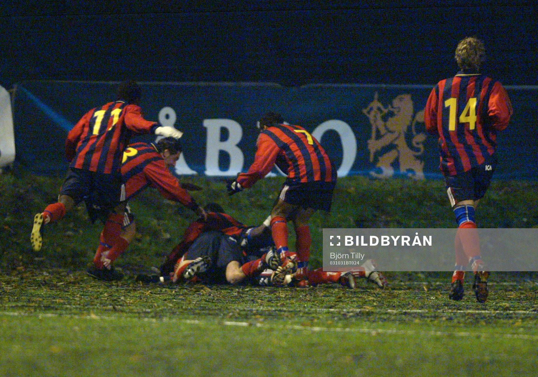 Djurgårds glädje
