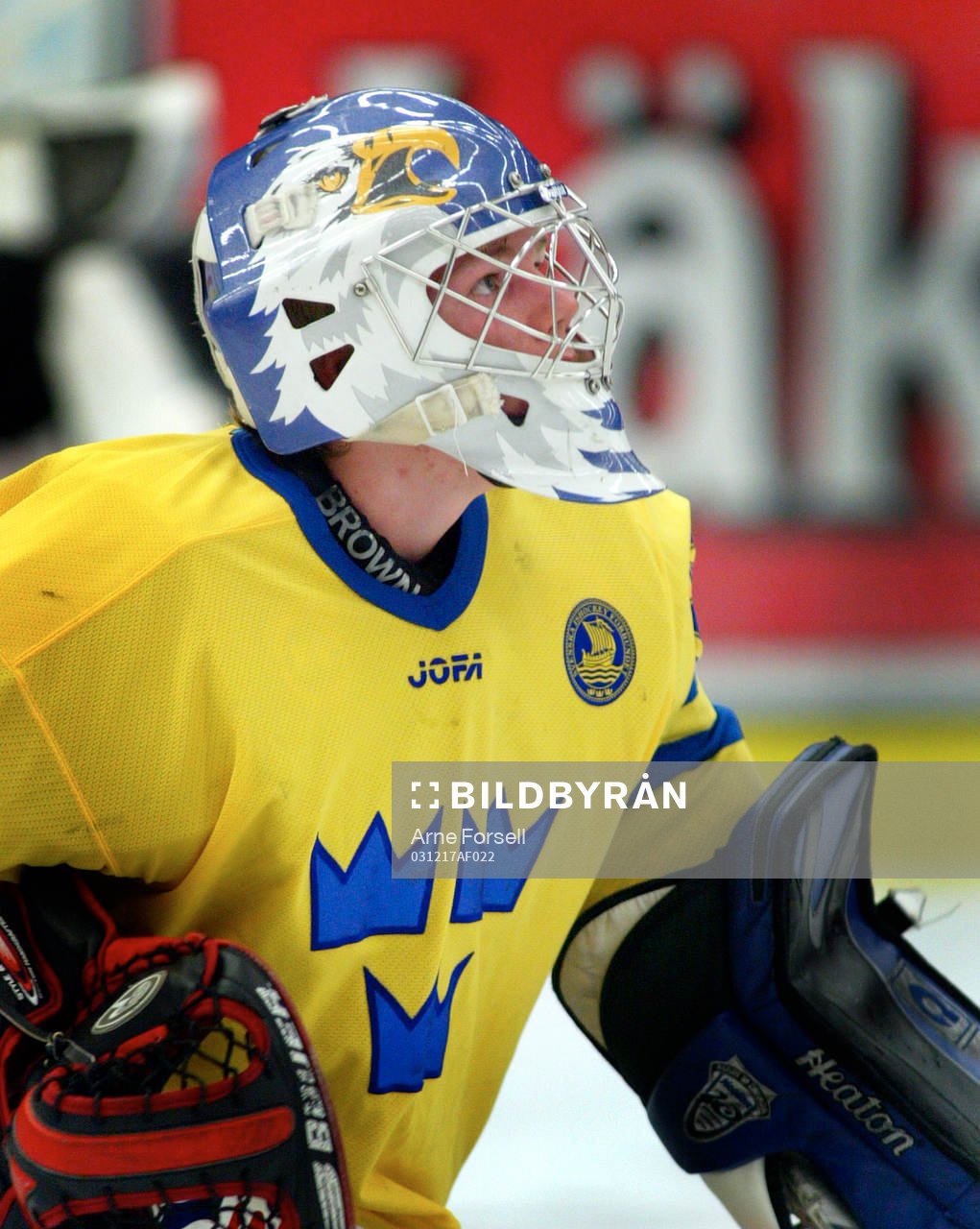 Victor Tisell, målvakt