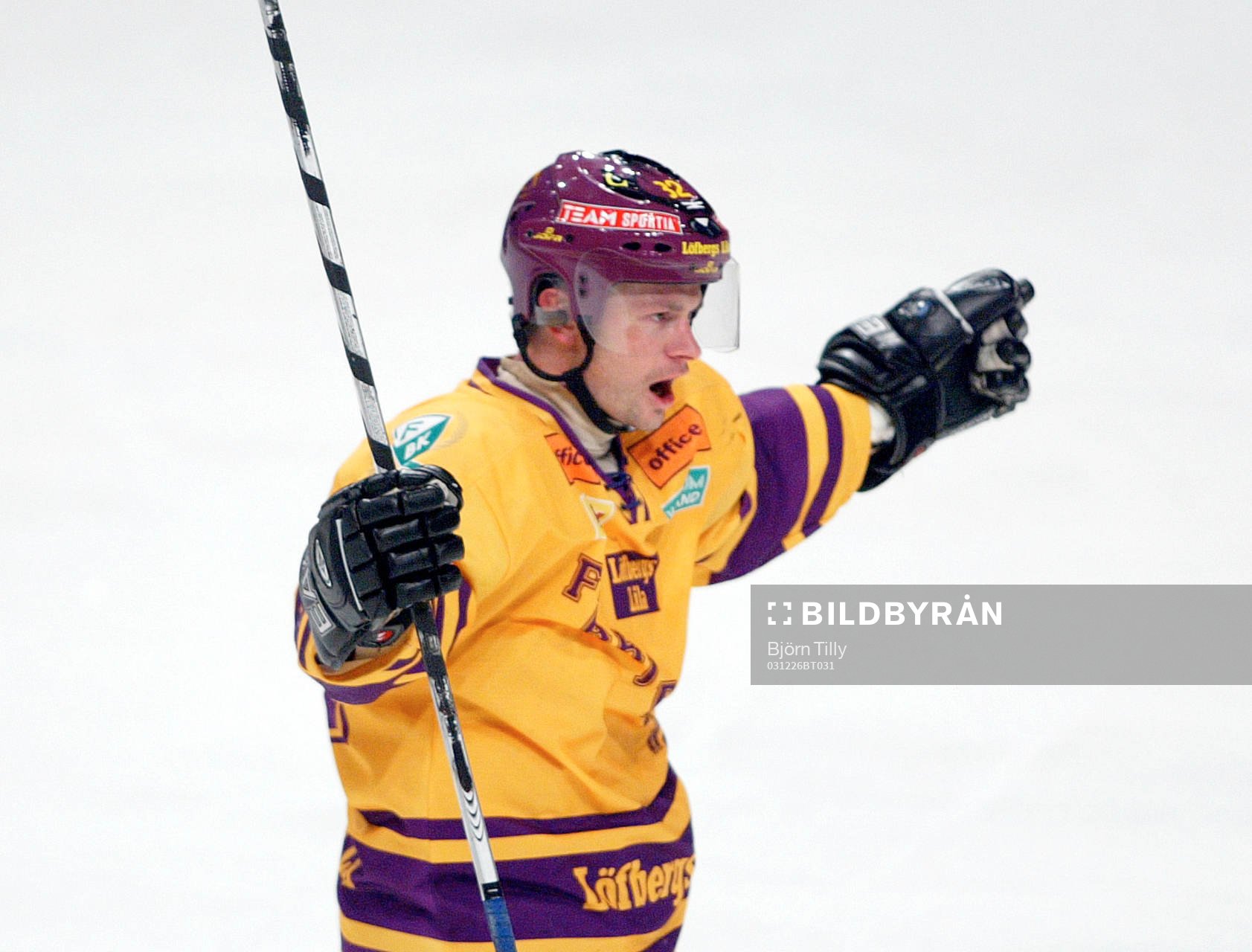 Radek Hamr, Färjestad