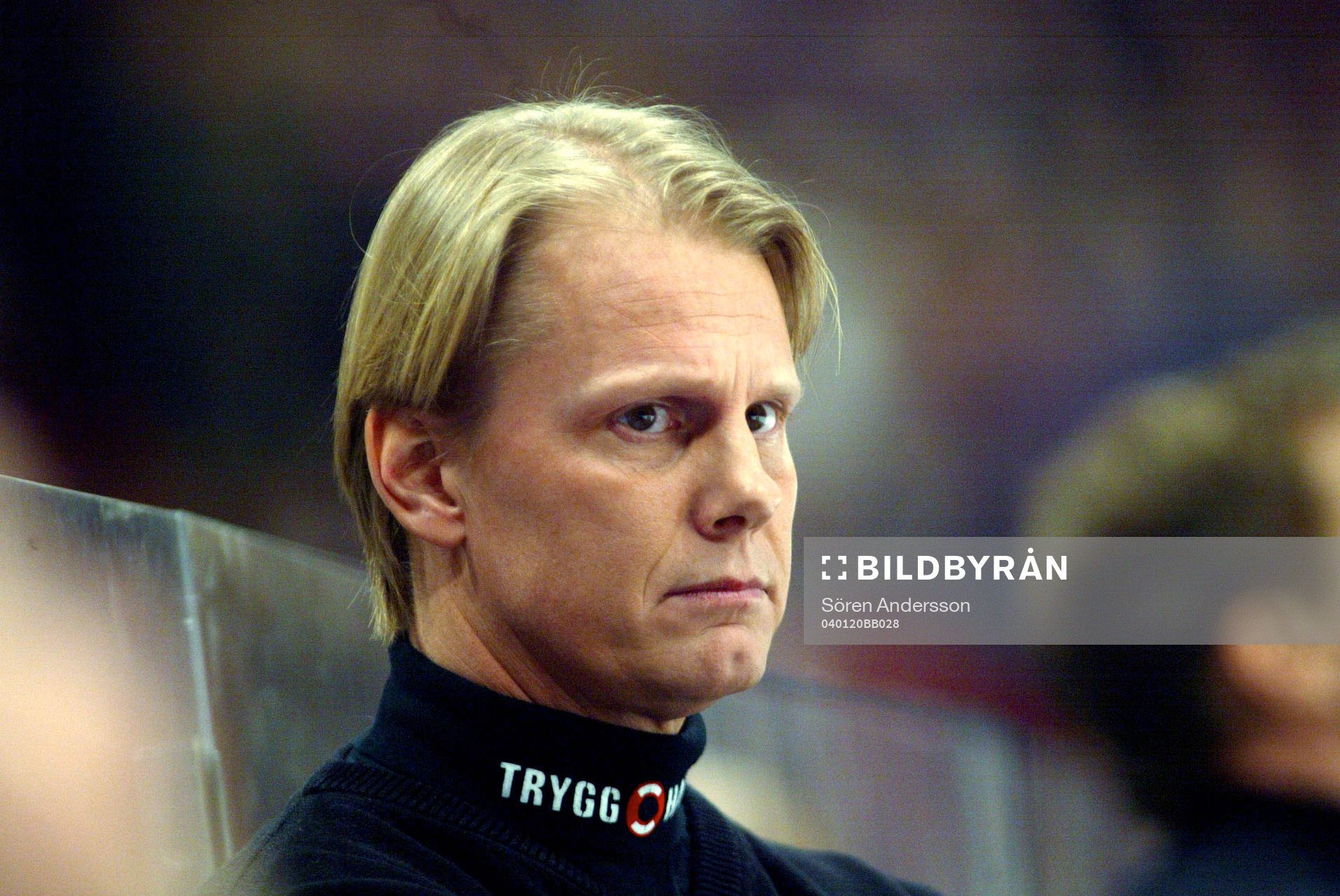Niklas Wikegård, tränare, Djurgården