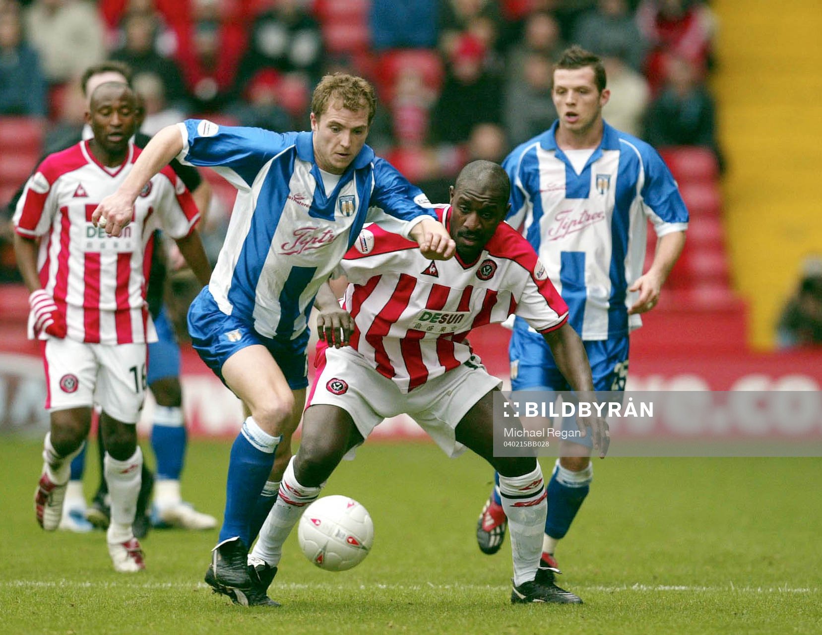 Wayne Allison, Sheffield och Alan White, Colchester