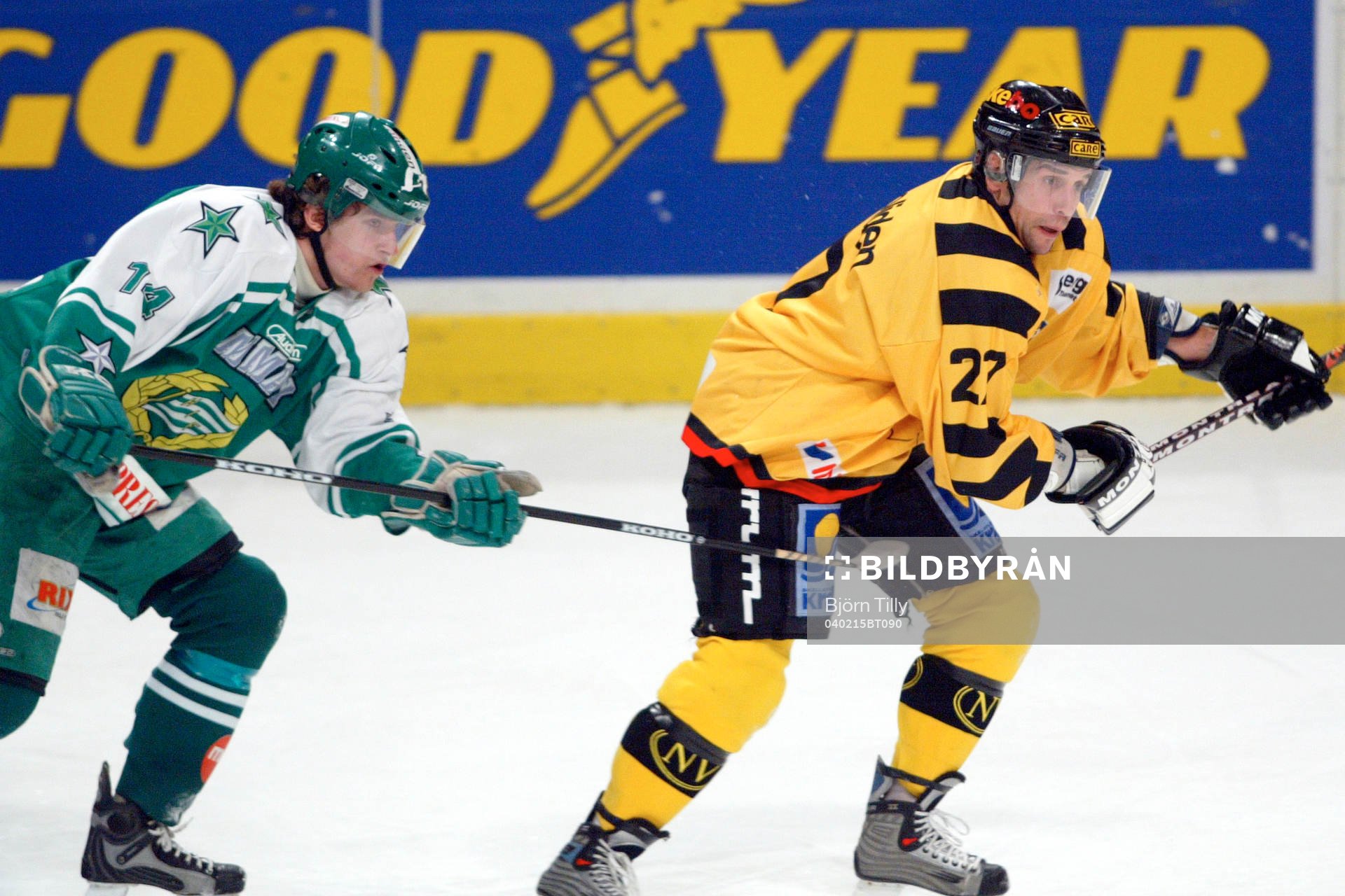 Johan Hägglund, Hammarby och Steve Potvin, Skellefteå