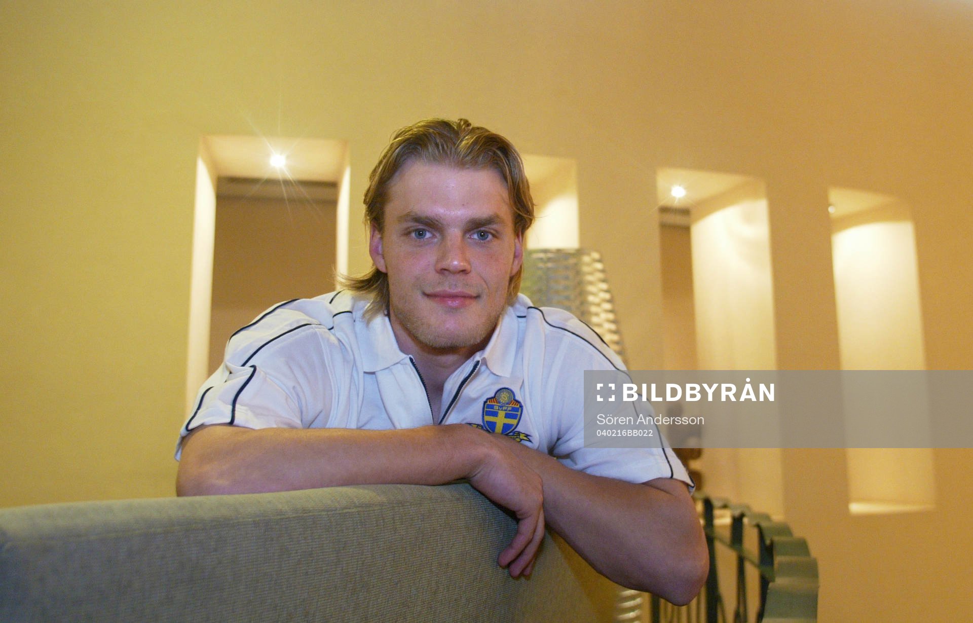 Johan Arneng, Sverige
