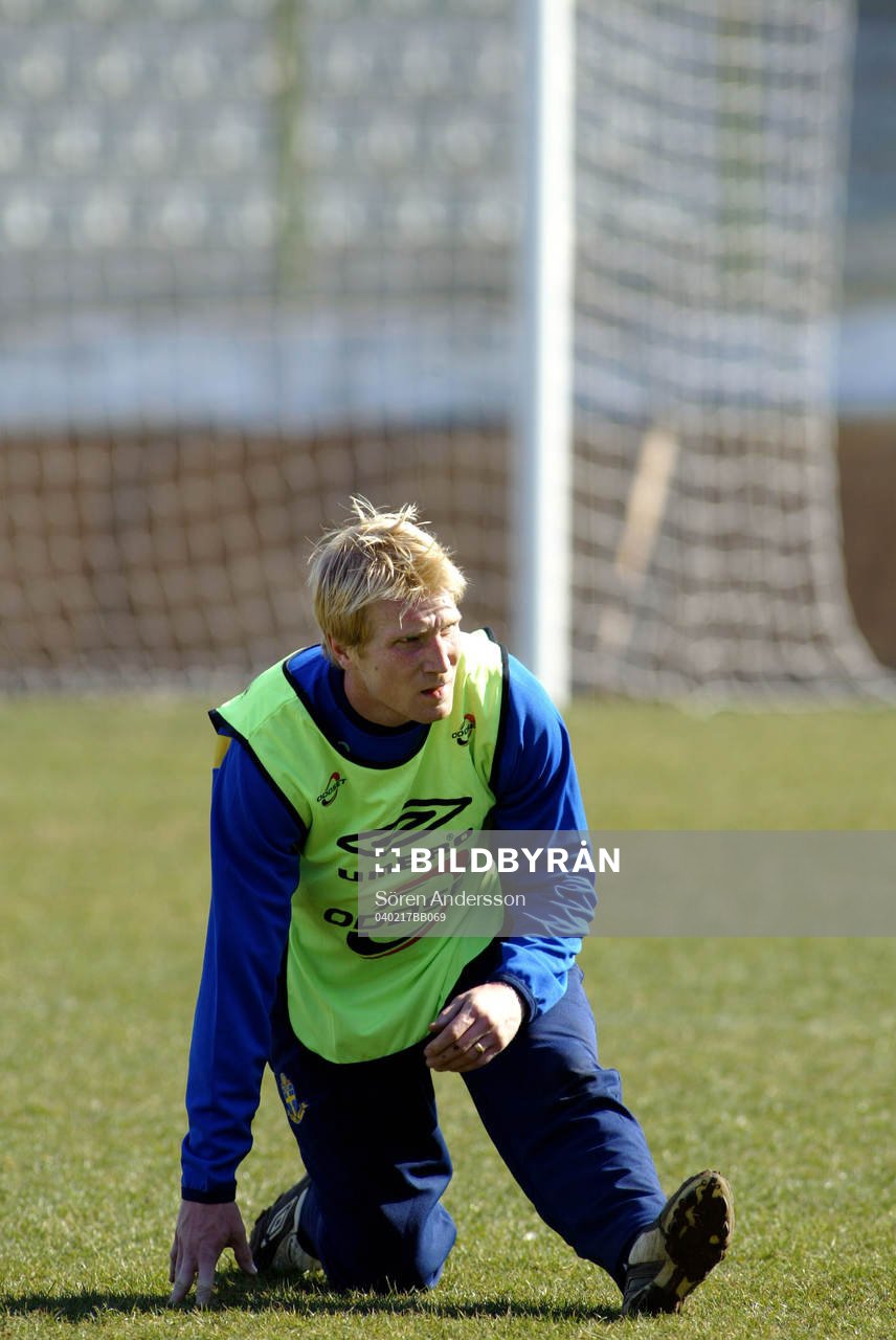 Petter Hansson, Sverige